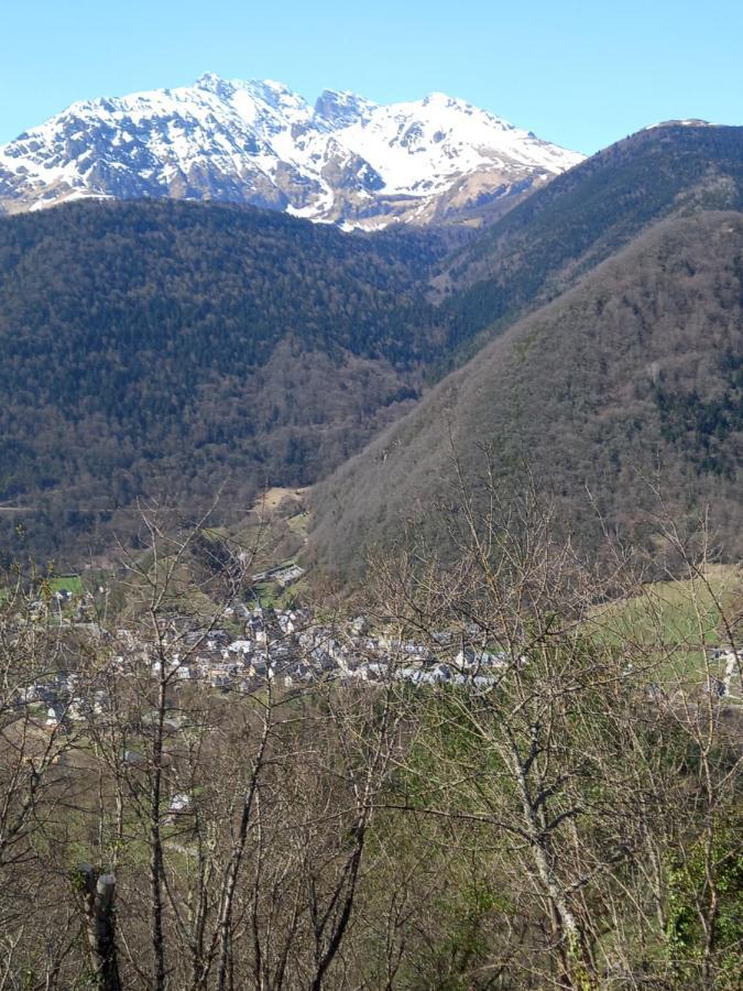 Appartement 2 A 4 Personnes Le Pyreneen A Arreau Carrefour Des Activites De Montagne Екстер'єр фото